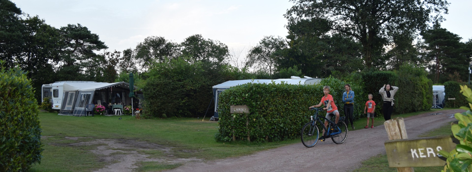 DSC_387297.jpg