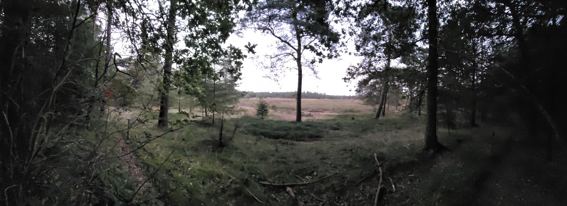 Dieverzand.jpg