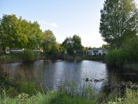 Vijver hoeve aan den weg