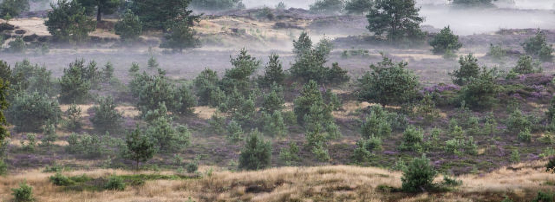 karin-broekhuijsen_brl9284.jpg