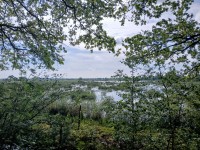 Foto water in het bos