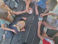 Kinderen proeven nieuw ijsje