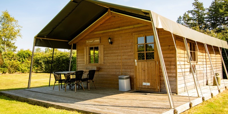 accommodatie huren drenthe diever oude willem