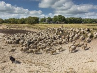 karin-broekhuijsen_brl2059 (1).jpg