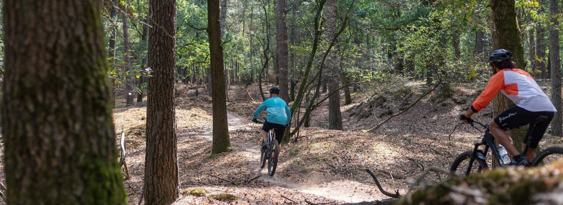 9a4a4464-marketing-drenthe-dag-3.jpg