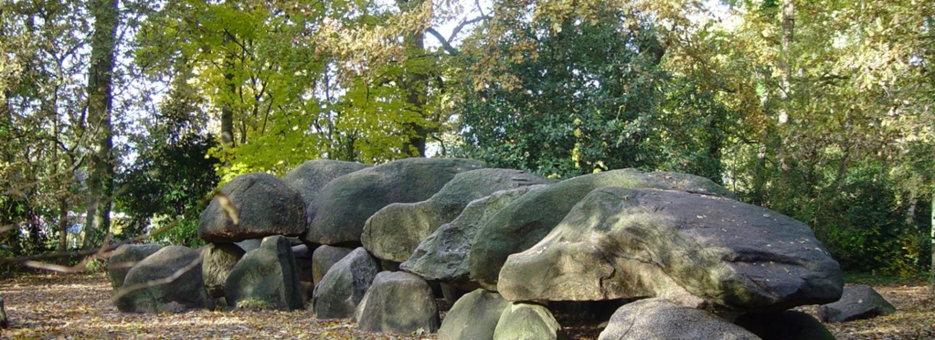 cultuur---hunebedcentrum.jpg
